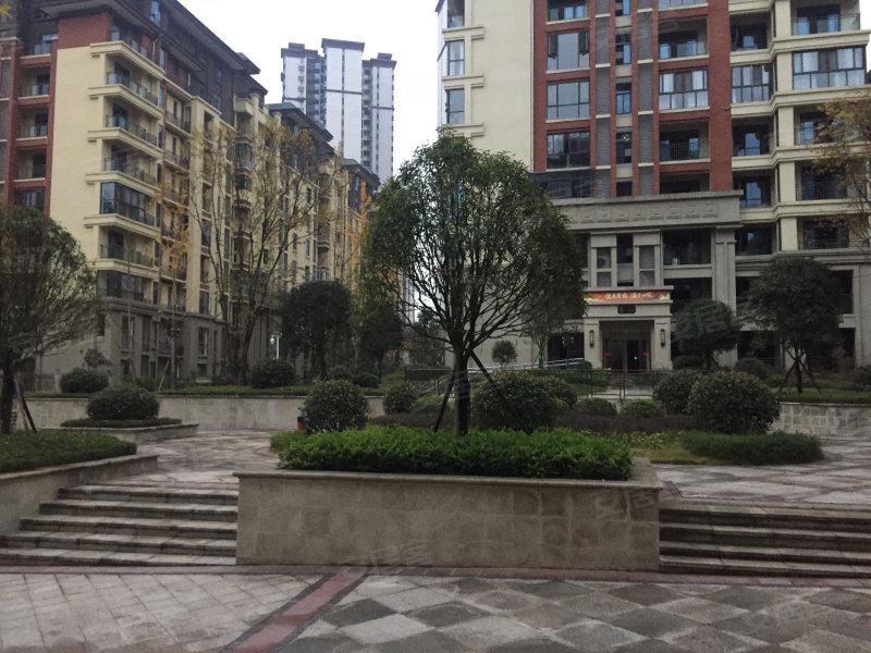 紫云台二期(南苑),蒋家坝街53号-广安紫云台二期(南苑)二手房,租房