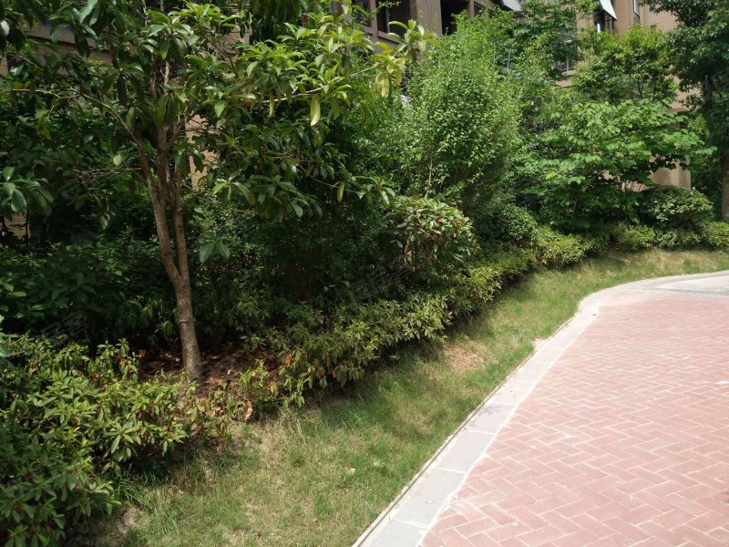 金泉小区,广西路2601号-合肥金泉小区二手房,租房,房价-合肥安居客