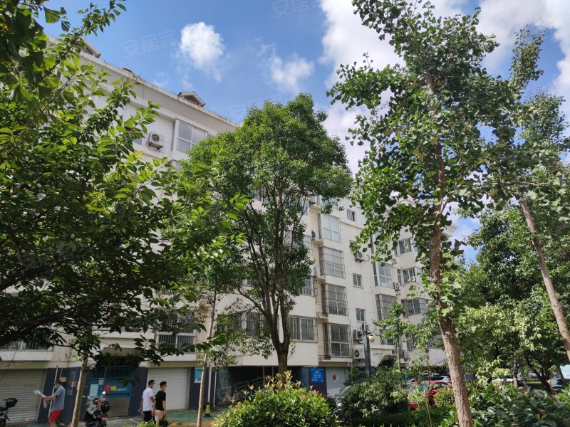 双盛花园,巨龙南路69号-连云港双盛花园二手房,租房,房价-连云港安居