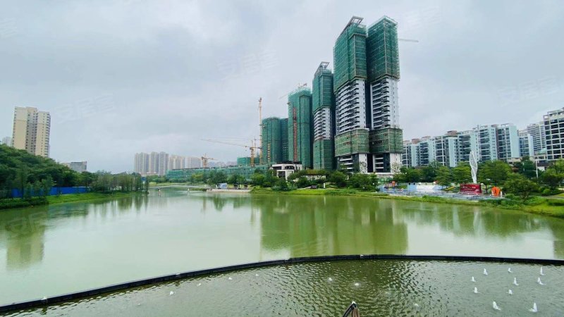 阳光城檀府,蓝塘三路-肇庆阳光城檀府二手房,租房,房价-肇庆安居客