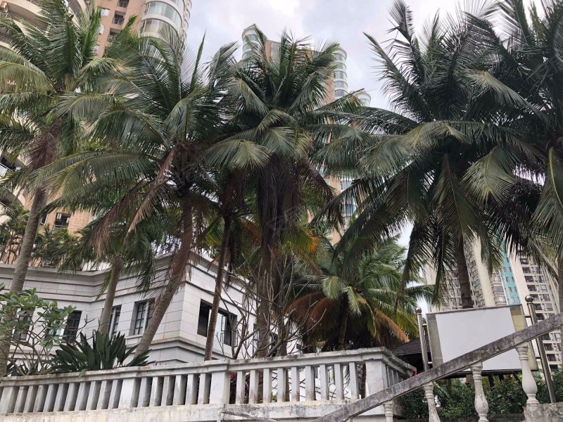 半山花园,金贸中路1号-海口半山花园二手房,租房,房价-海口安居客