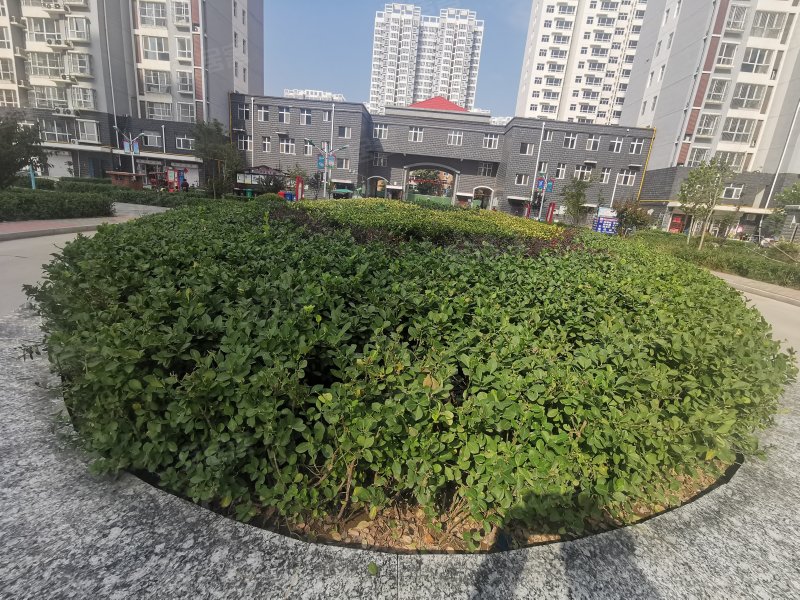 迎泰新城c区,和平街-定州迎泰新城c区二手房,租房,房价-定州安居客