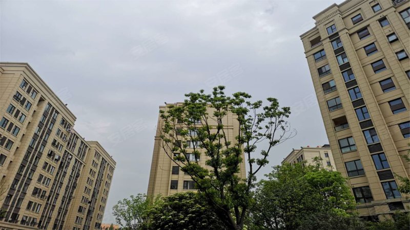 中冶锦绣华府,大桥南路-南京中冶锦绣华府二手房,租房,房价-南京安居