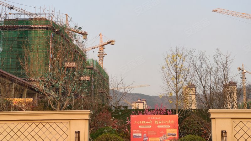 中梁樾山府,电厂东路-烟台中梁樾山府二手房,租房,房价-烟台安居客