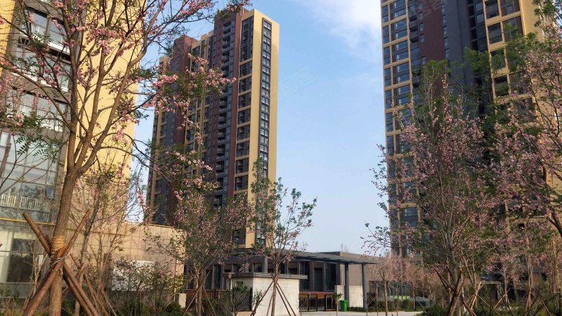 华嬉盛世,广川大道-德州华嬉盛世二手房,租房,房价-德州安居客