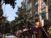挹江门小区图片