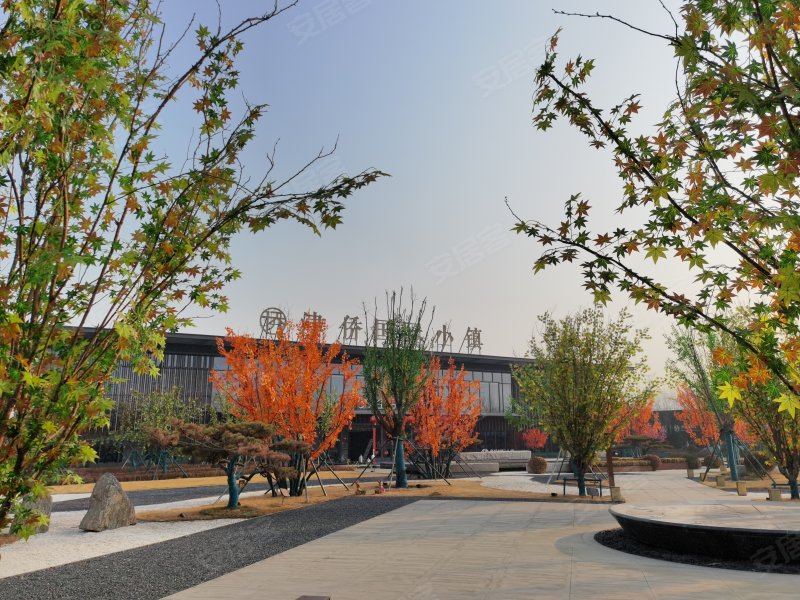 津侨国际小镇香坻雅园