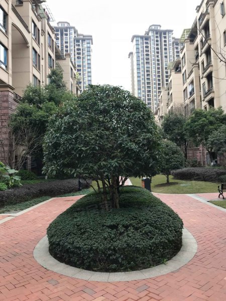 金科阳光小镇(长寿)