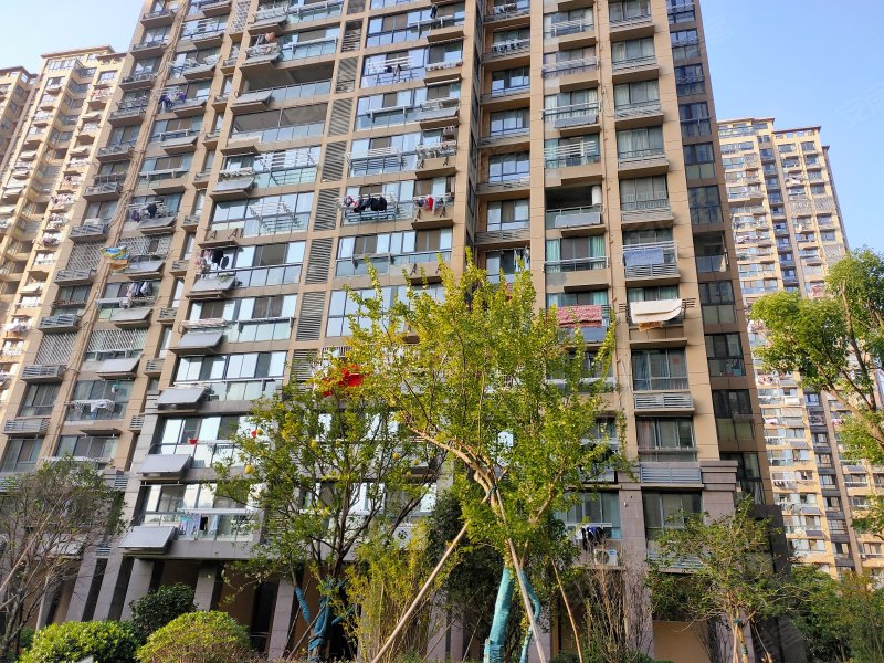 仁盛世纪星城,人民路-池州仁盛世纪星城二手房,租房,房价-池州安居客