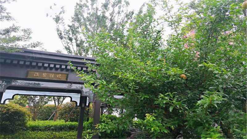 泰禾红树湾院子