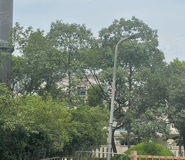 汤臣高尔夫(别墅)