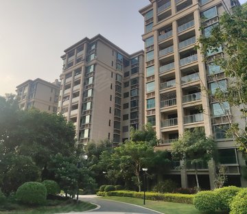 心谊路95号小区