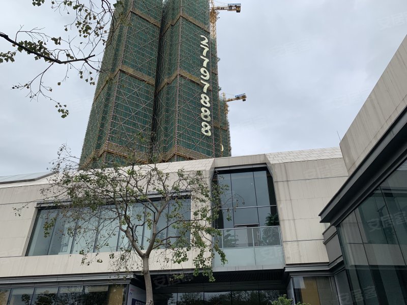 佛山金科城,顺业西路1号-佛山佛山金科城二手房,租房,房价-佛山安居客