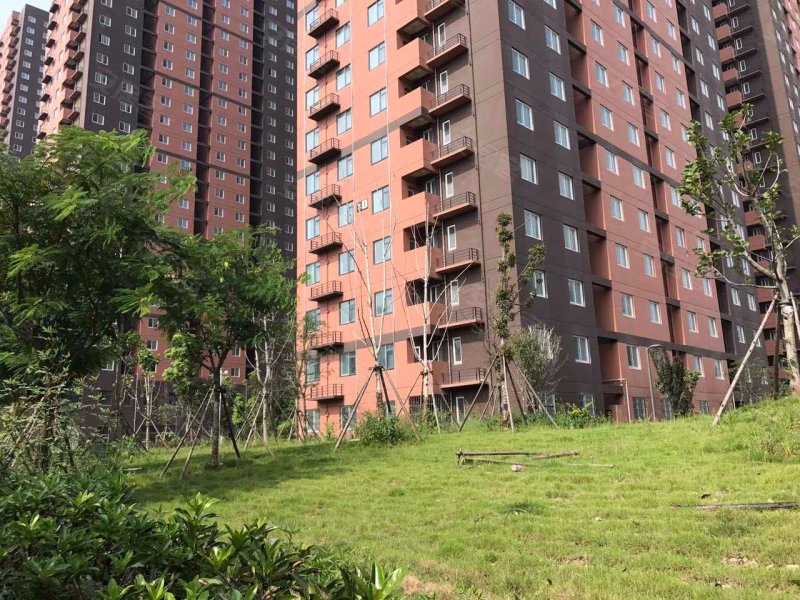 洪山江南新天地(c区)