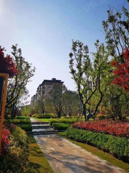 建业春天里(柘城)