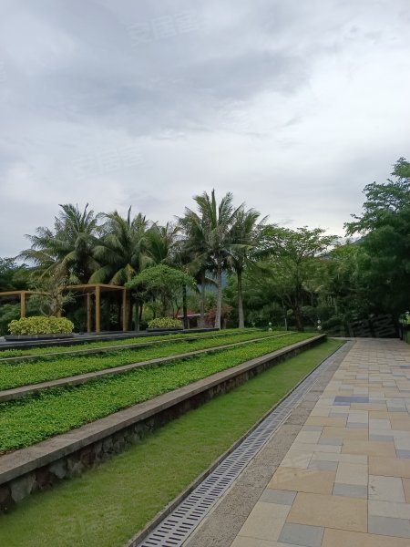 海棠花开,神泉大道-三亚海棠花开二手房,租房,房价-三亚安居客