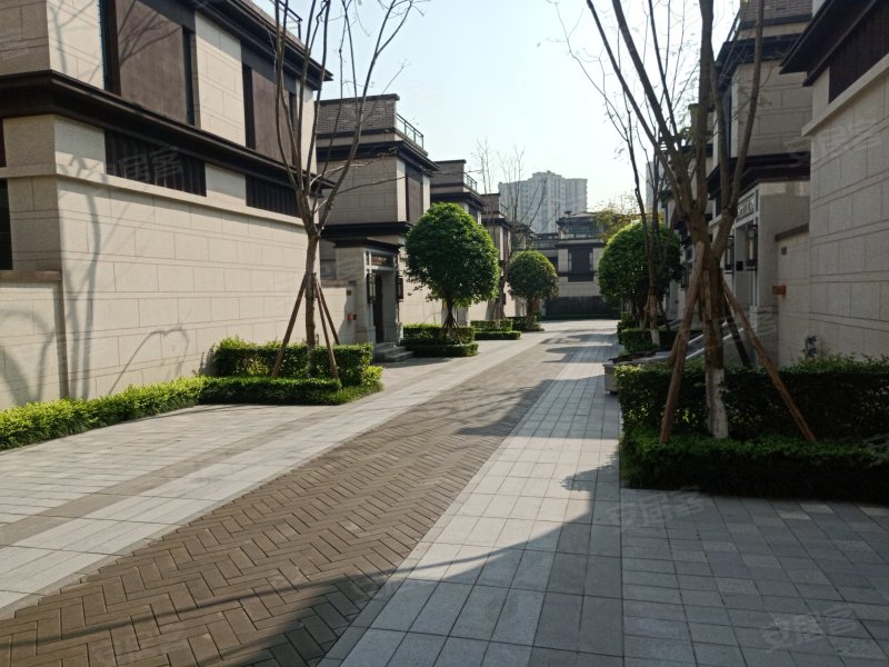 万科观承(别墅),博兴路52号-重庆万科观承(别墅)二手房,租房,房价