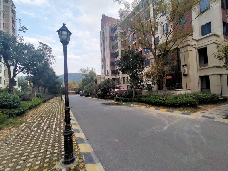 湖山壹品(庐江)