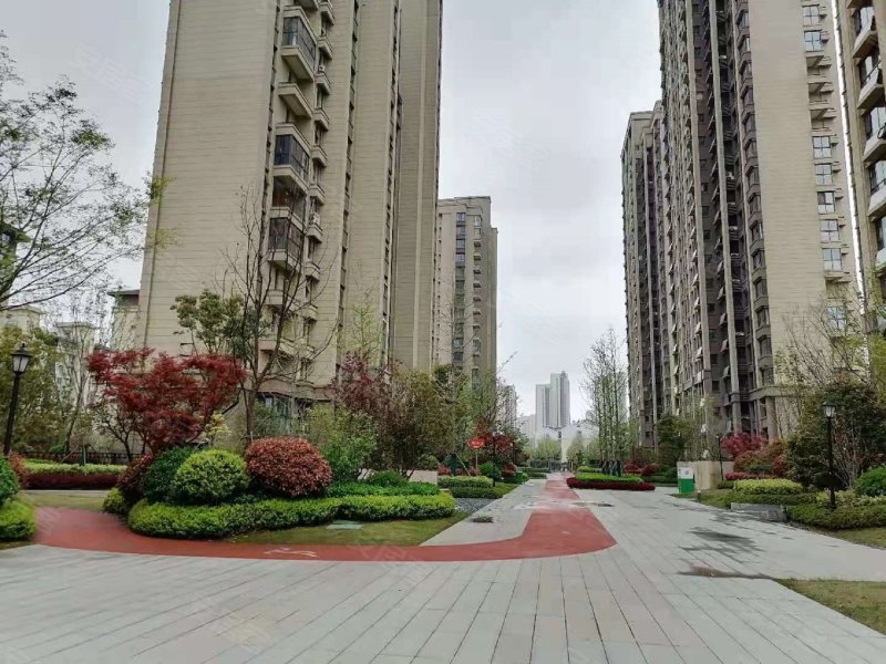 金科海昱东方,障山路6号-合肥金科海昱东方二手房,租房,房价-合肥安居