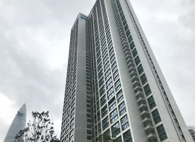 华润深圳湾悦府(一期)