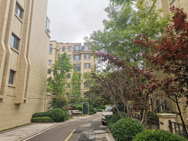 恒信伯爵公馆,龙山路-潍坊恒信伯爵公馆二手房,租房,房价-潍坊安居客