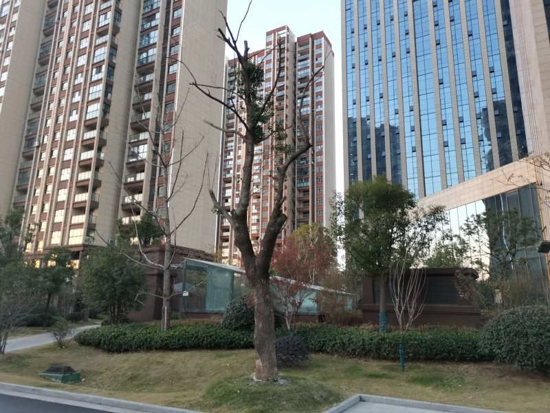 天盛广场,金谷路,近谷阳大道-镇江天盛广场二手房,租房,房价-镇江安居