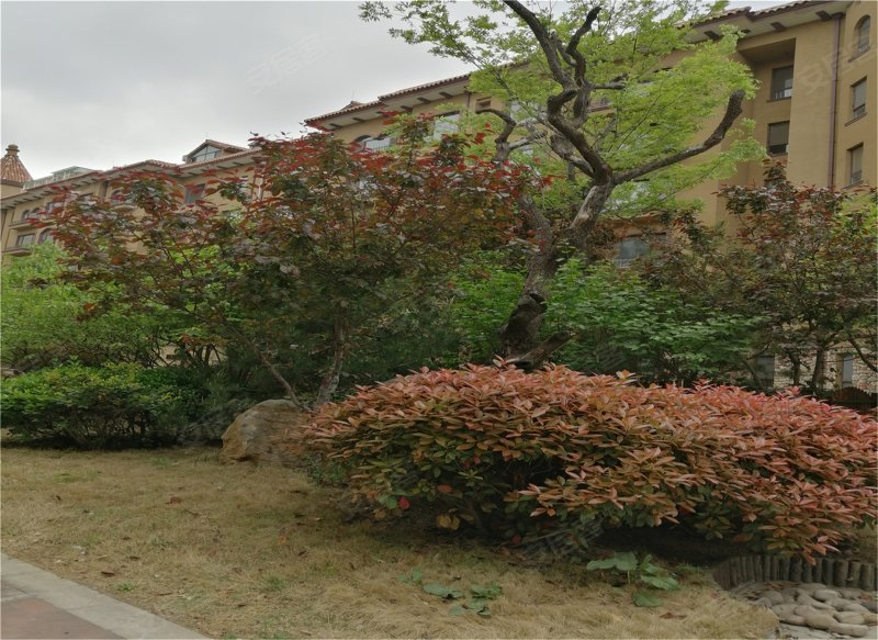 九龙山庄,新华路5888号-潍坊九龙山庄二手房,租房,房价-潍坊安居客