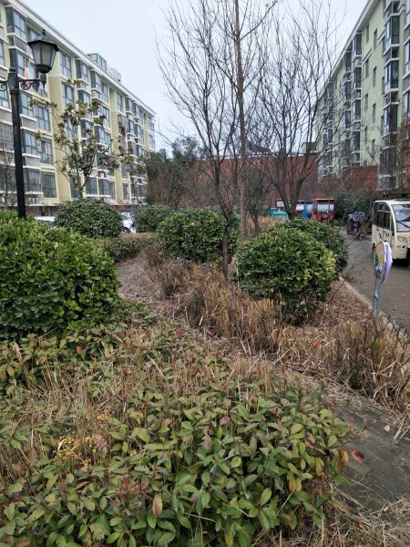 陆河新苑,顺陆河线-宿迁陆河新苑二手房,租房,房价-宿迁安居客