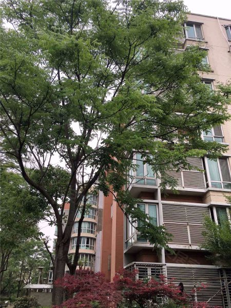 翠岛花城芳庭居