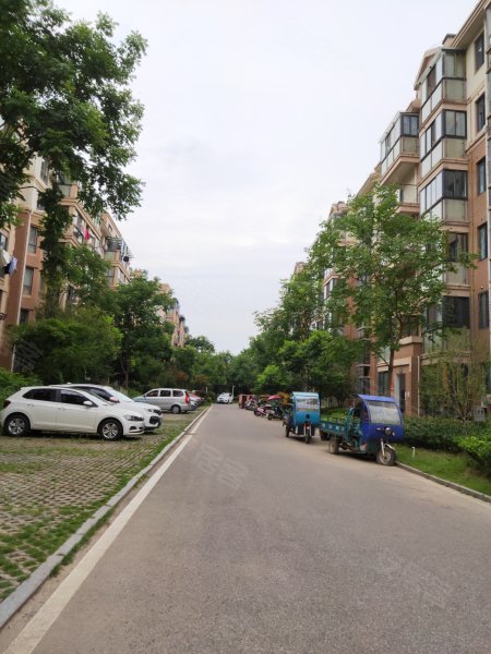 鑫旺盛世莲花,汤匙路-合肥鑫旺盛世莲花二手房,租房,房价-合肥安居客