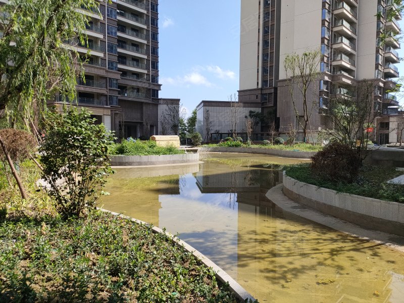 首府花雨树,太行山路北段18号-德阳首府花雨树二手房,租房,房价-德阳