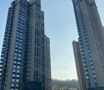 中海十里观澜