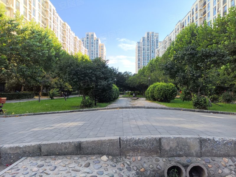 柏林爱乐(三期)