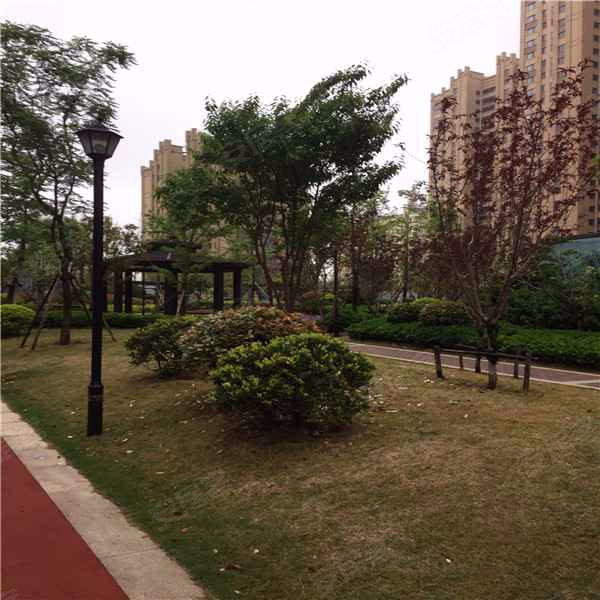 绿地公馆,南黄路-泰安绿地公馆二手房,租房,房价-泰安安居客