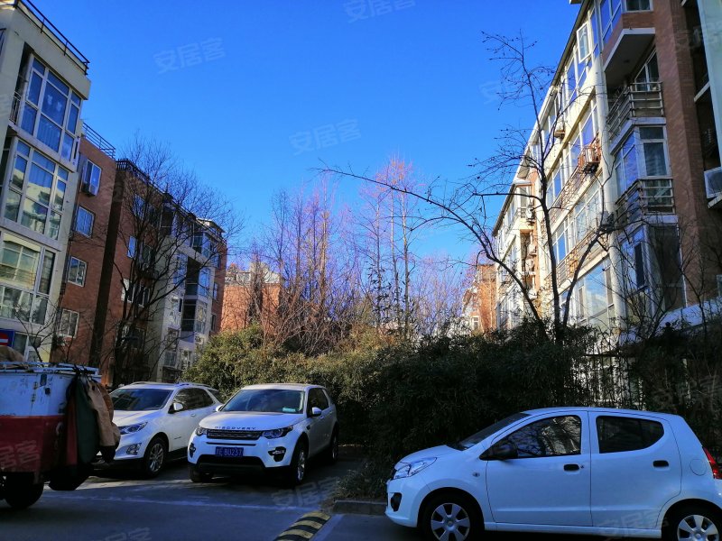 星河城夏季星空