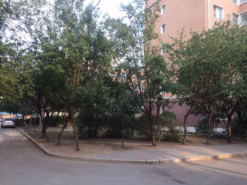 工人新村(劳动公园),南十一西路15号-沈阳工人新村(劳动公园)二手房