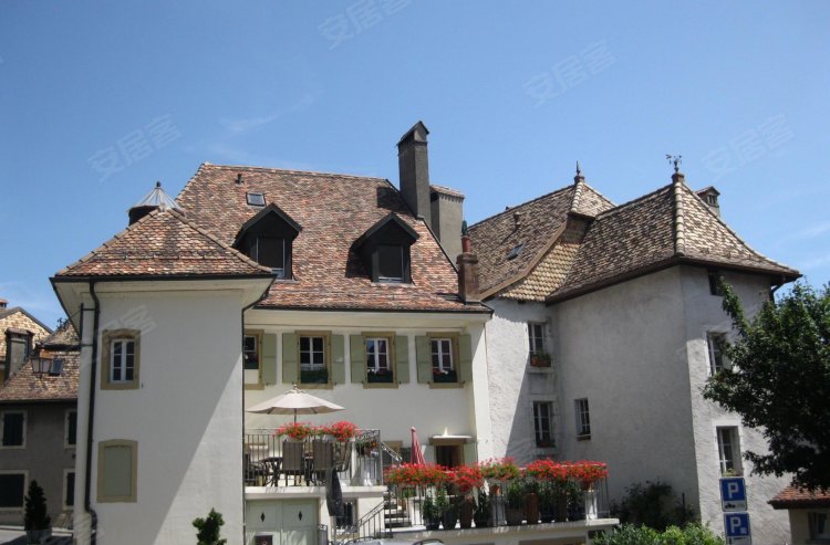 瑞士约¥1089万18 世纪豪宅中美丽的三重公寓二手房公寓图片
