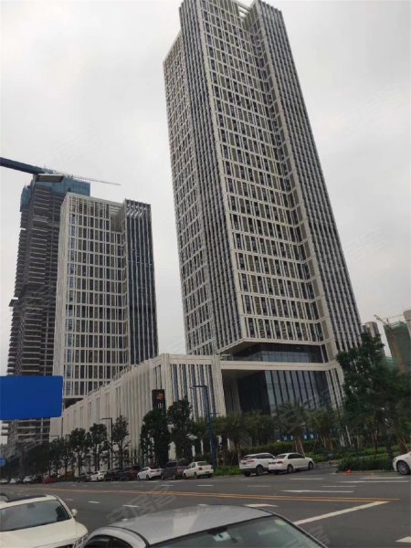 紫荆楼,新华路a173号-佛山紫荆楼二手房,租房,房价-佛山安居客