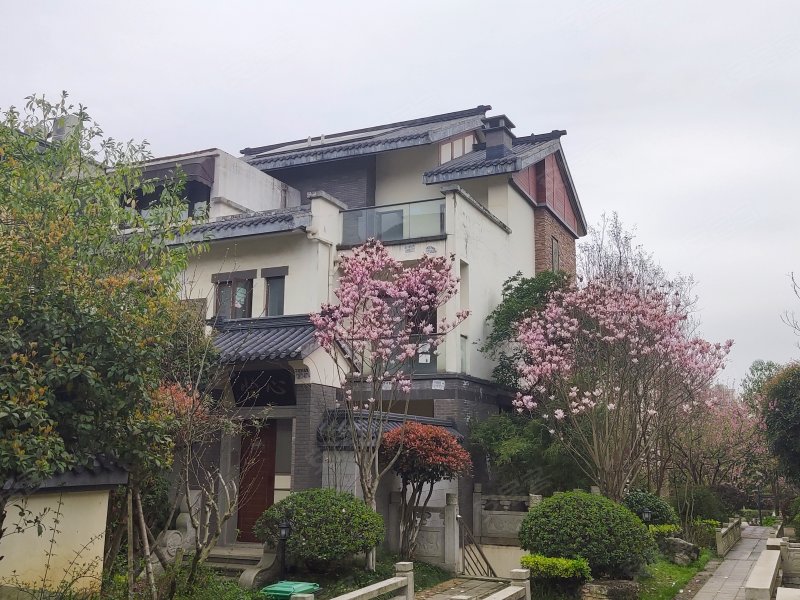 金科东方大院(别墅)