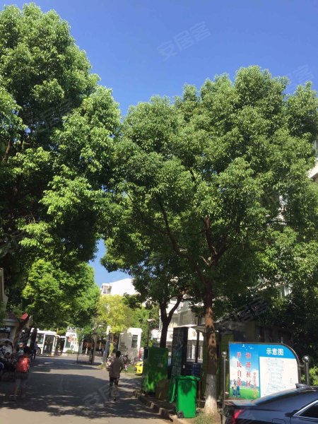 桃园新城中虹佳园(东区) 