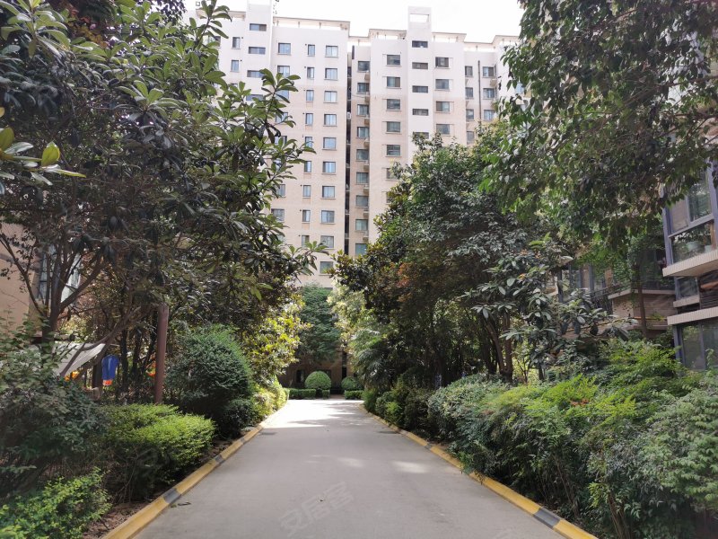 锦园君逸(西区)