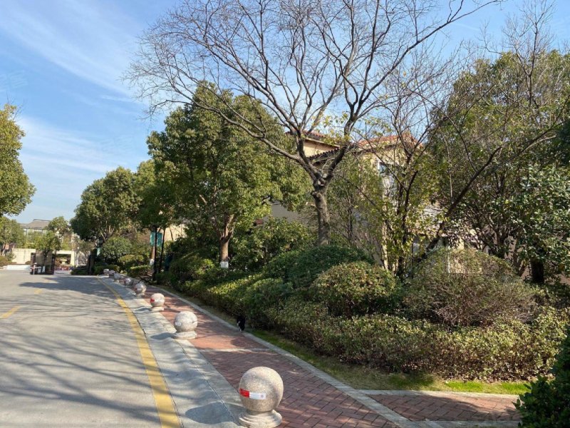 中信森林湖(别墅),唯澄路,近星湖街-苏州中信森林湖(别墅)二手房,租房