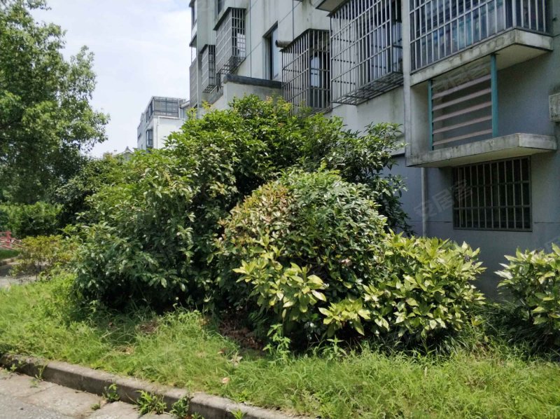 军嶂新村(b区),山水东路,近盘龙北路-无锡军嶂新村(b区)二手房,租房