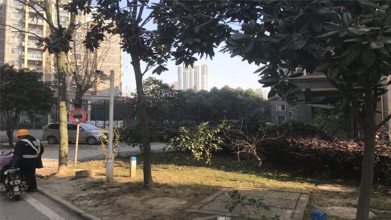 金桥港湾花园水木廷苑