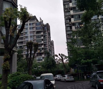 文三路小区图片