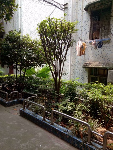 员村新村,员村二横路-鄂尔多斯员村新村二手房,租房,房价-鄂尔多斯