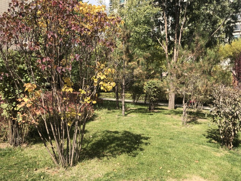 西海嘉苑,昆仑大道-西宁西海嘉苑二手房,租房,房价-西宁安居客