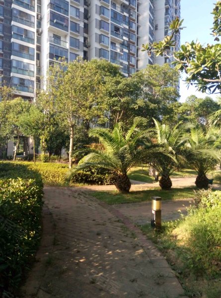 水岸星城c区,福星西路-济南水岸星城c区二手房,租房,房价-济南安居客