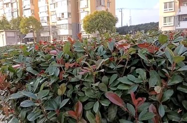 方舟时代广场