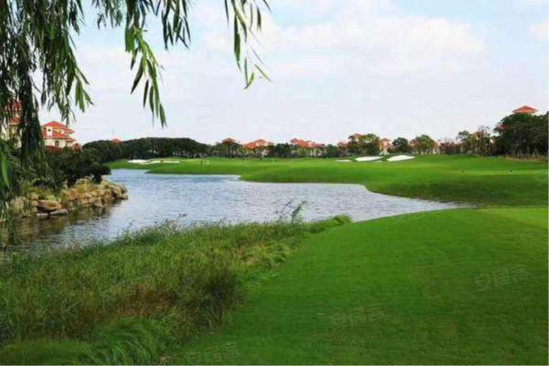 棕榈滩高尔夫别墅,海马路3499弄,海马路4199弄-上海棕榈滩高尔夫别墅